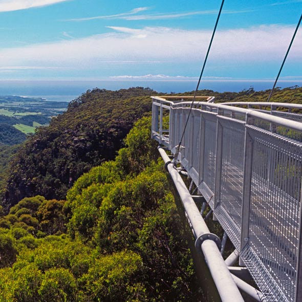 Treetop Walkway West Coast New Zealand